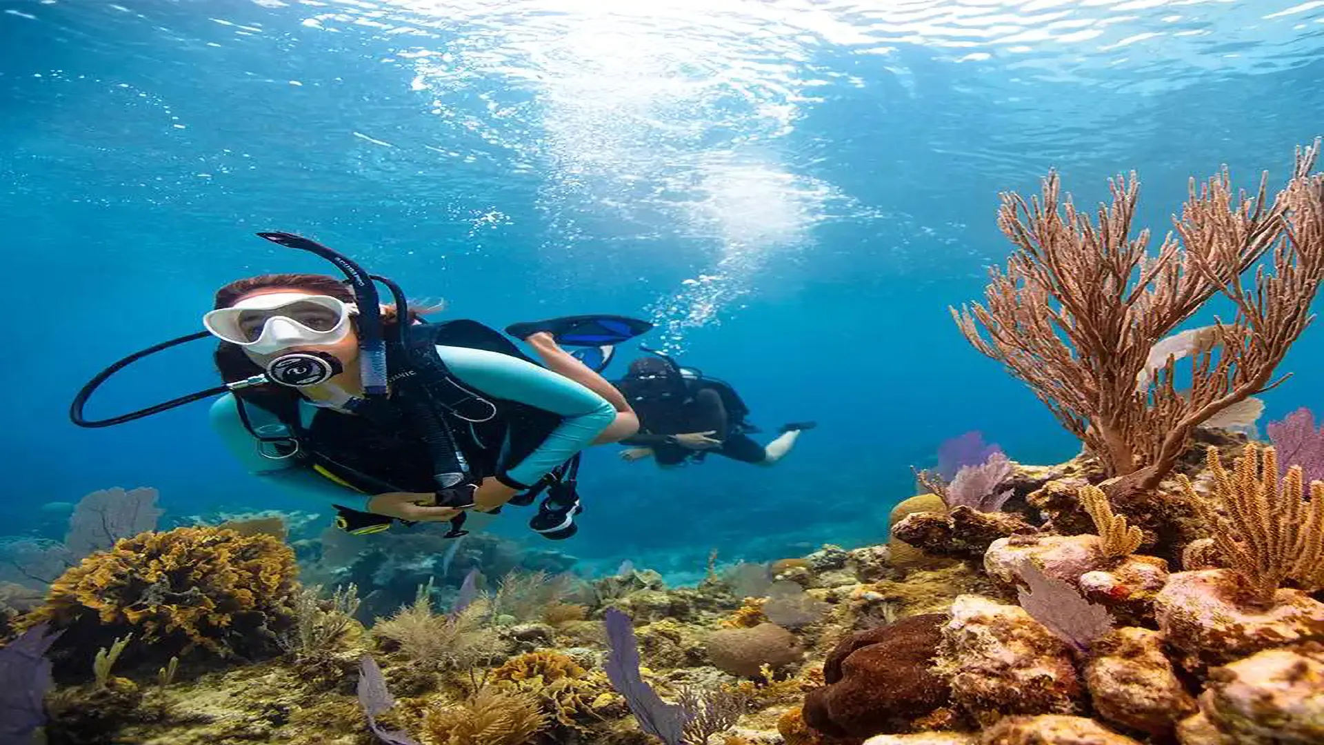 Arabian Infinity Tours: 